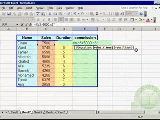 برامج الحاسوب / استعمال الدالة if