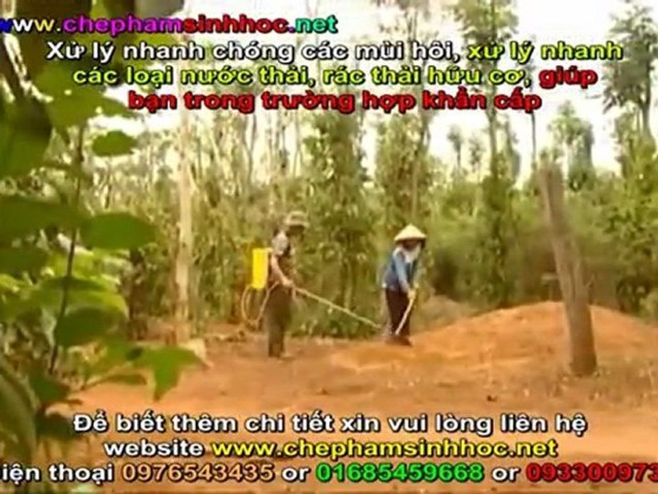Xử lý mùi hôi nước thải - xử lý rác thải hữu cơ một cách nhanh chóng, an toàn với chế phẩm sinh học Weviro 3
