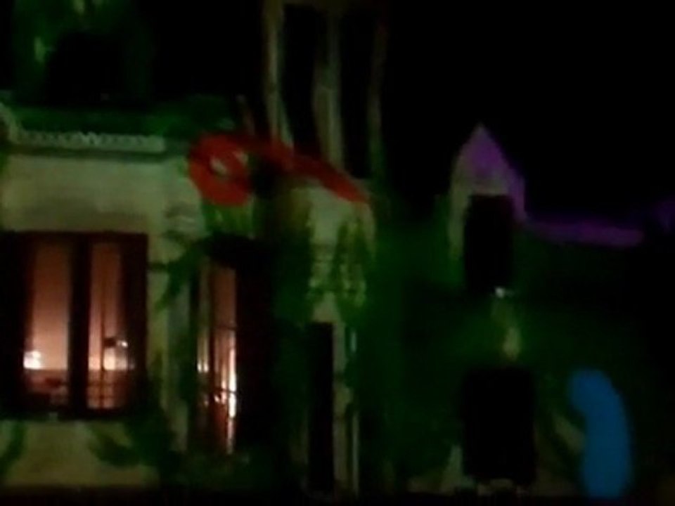 mapping 2011