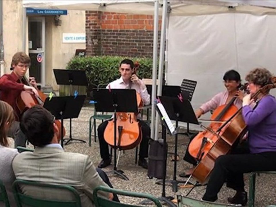 Ensemble de violoncelles : la Poesia de Mercadante
