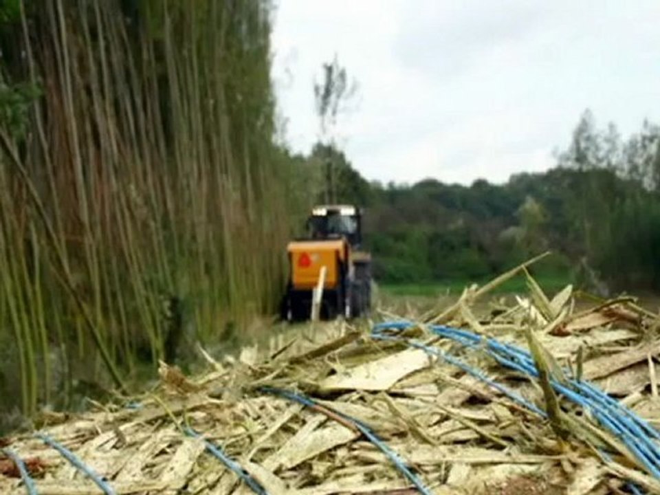 Sap Parçalama ve balya - tarimmakinem.com