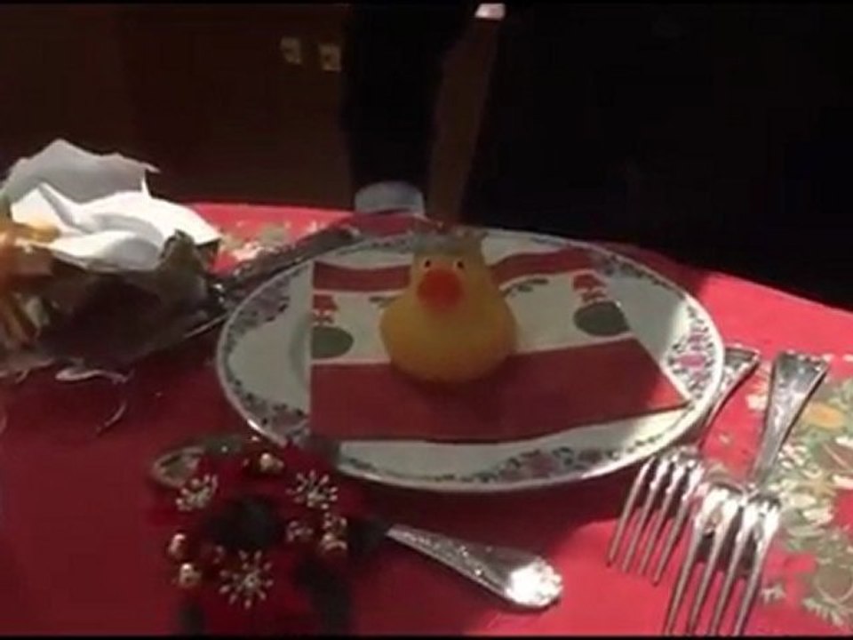THE FENCER : duck sucks at family christmas