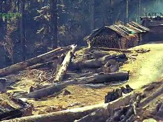 Landscape and Biodiversity Protection - India