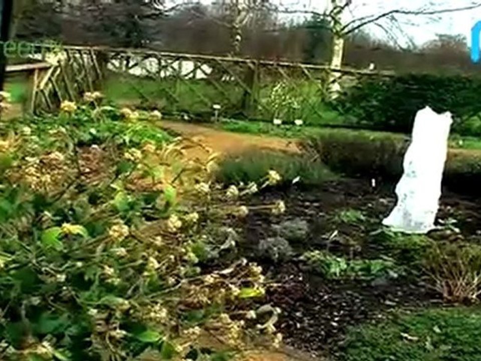 Garden Organics