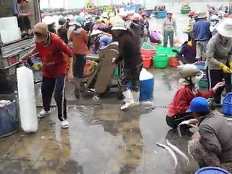 VIETNAM.Port de pêche.Conditionnement.