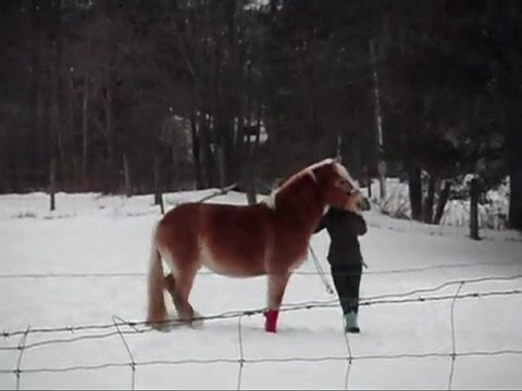 Pousser les Épaules