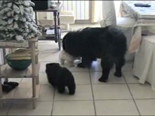 Les bébés d' Elysée à 1 mois