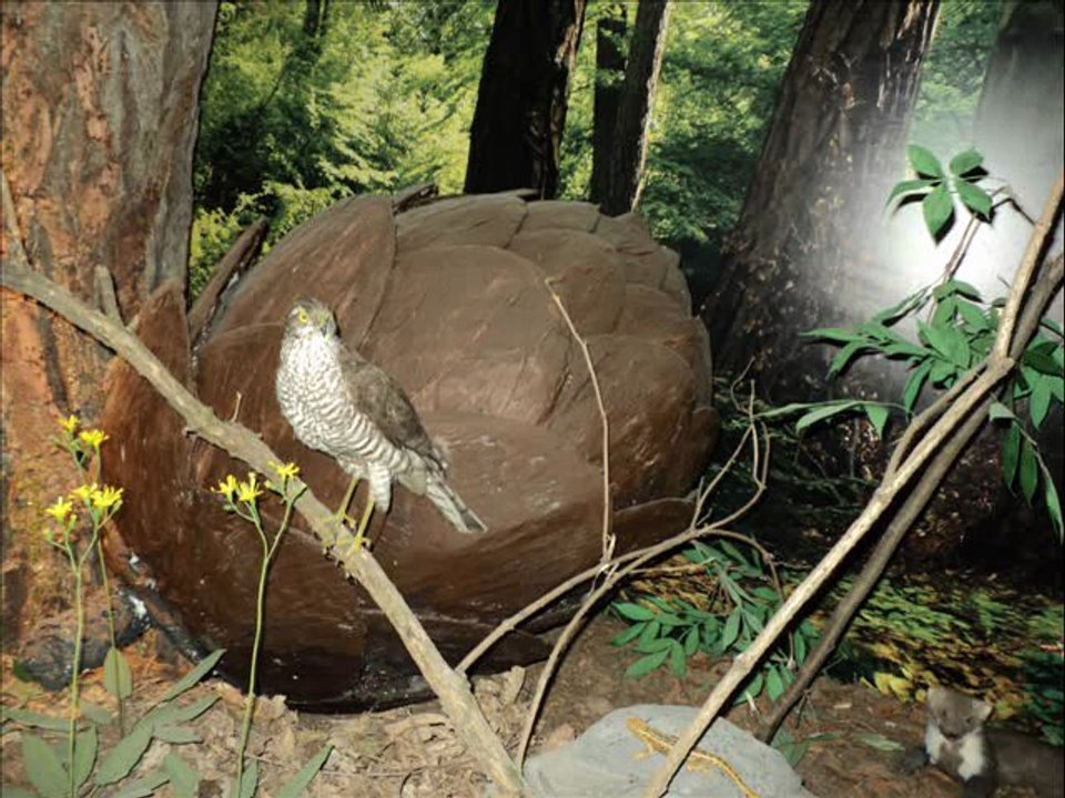 Święty Krzyż Muzeum
