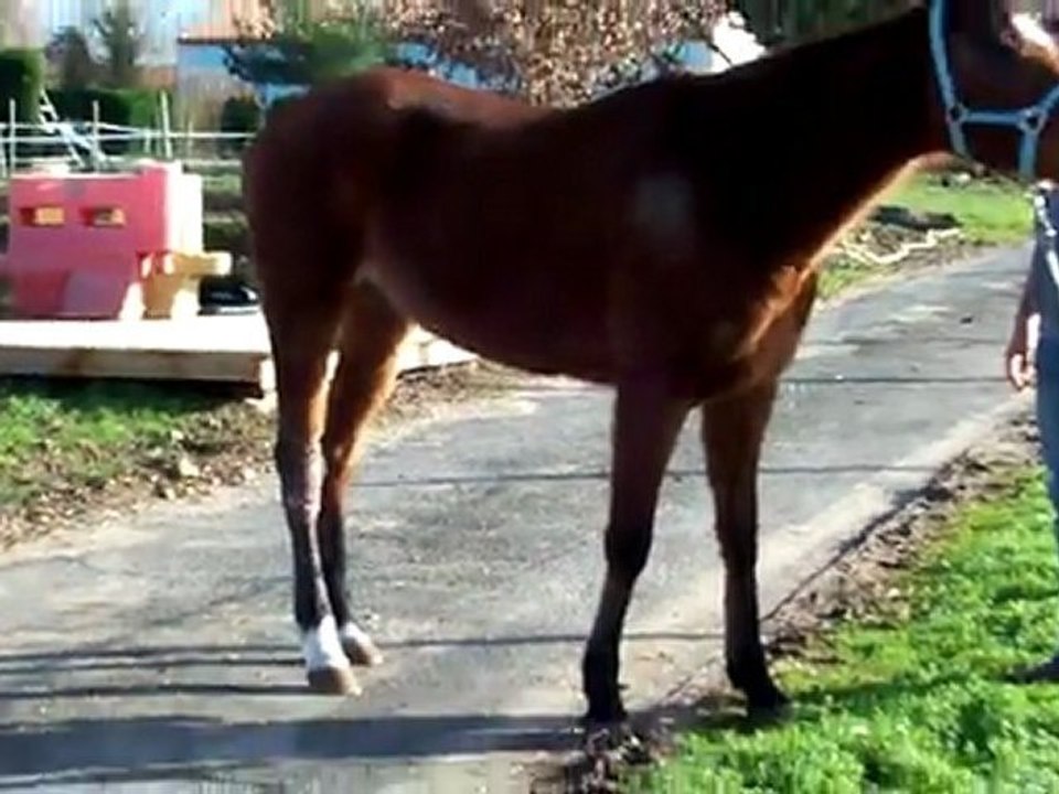 Première sortie de PLAISIR le 06 janvier 2012