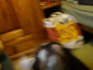 mes loulous qui jouent