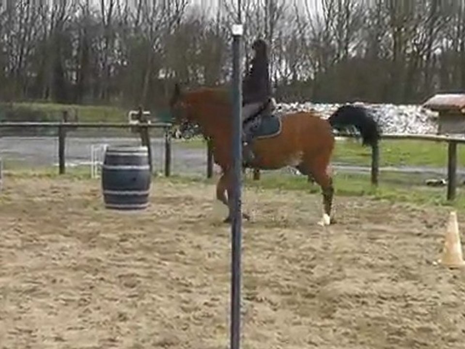 anne et lucky