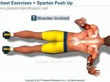 Spartan Push Up 300 workout