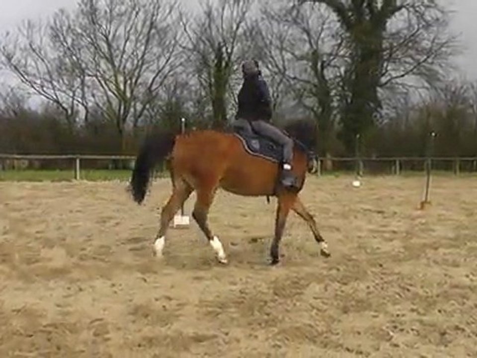 anne et lucky