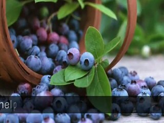 POWERFUL NATURE ANTIOXIDANTS