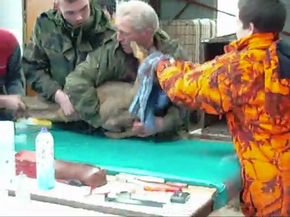 CCTAR - Reprise de Chevreuils