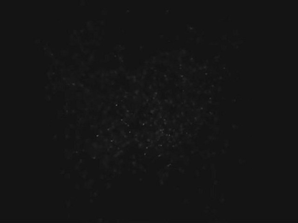 d_r_υ_g_ѕ - love lυѕт - ĸeep ѕнelly ιn aтнenѕ rмх