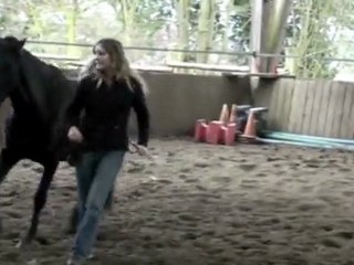 Travail en liberté avec mes deux chevaux