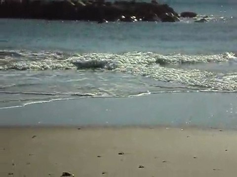 Epifania al Mare ad Arma di Taggia da Hotel Lucciola