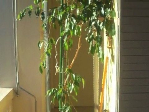 Appartement - Achat Vente Avignon - N° BB 2733- ABD IMMO