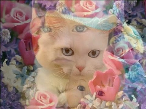 Utanır İnsan Böyle Güzel Olunur mu)bütün çirkinlere gelsin.güzelim diyen çirkinler gelsin bu şarkı