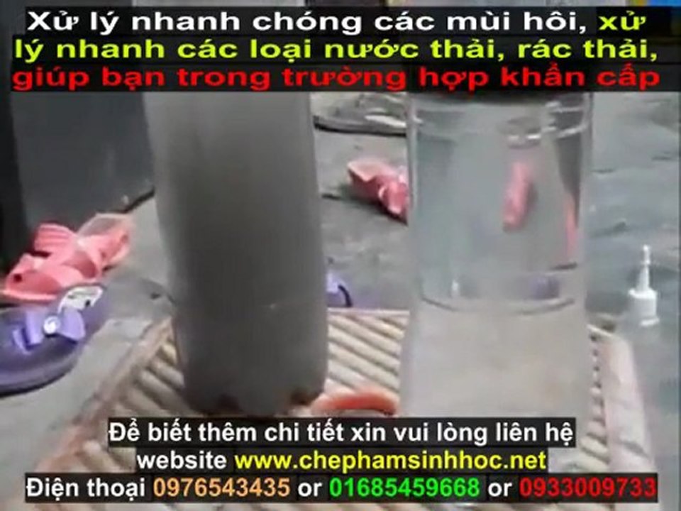 xử lý nước thải nuôi trồng thủy sản - xử lý nước thải chăn nuôi - xử lý mùi hôi nước thải - hiệu quả, nhanh chóng