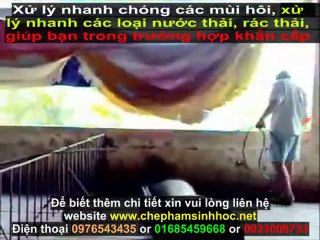 xử lý nước thải chăn nuôi chuồng trại - xử lý nước thải chăn nuôi trang trại - xử lý mùi hôi nước thải - hiệu quả, nhanh chóng
