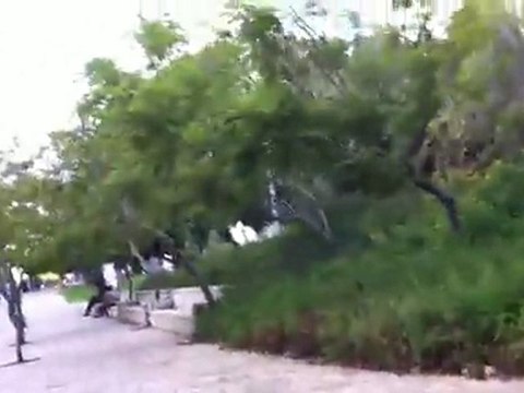 lovely balloon carried by a lovely girl