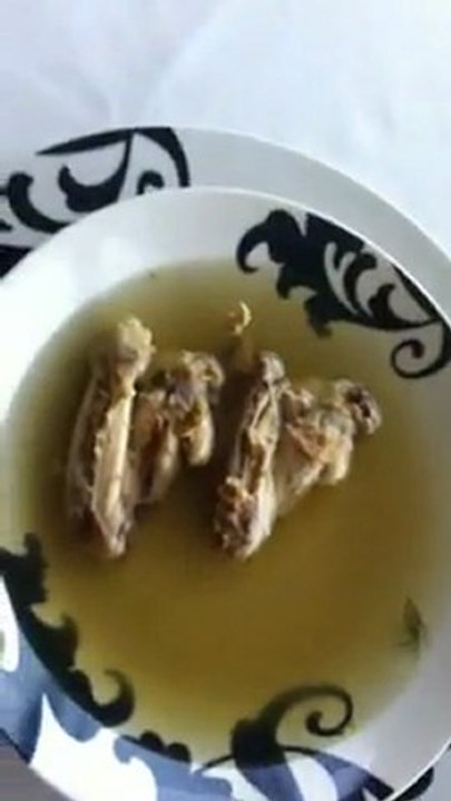 chicken soup   BBQ the meal before the Yom Kippur fast