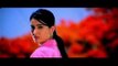 Marathi Movie - Parambi - Dialogue Promo / Trailer