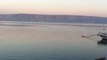 Seagulls flying at sunset over the Sea of ​​Galilee