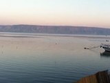 Seagulls flying at sunset over the Sea of ​​Galilee