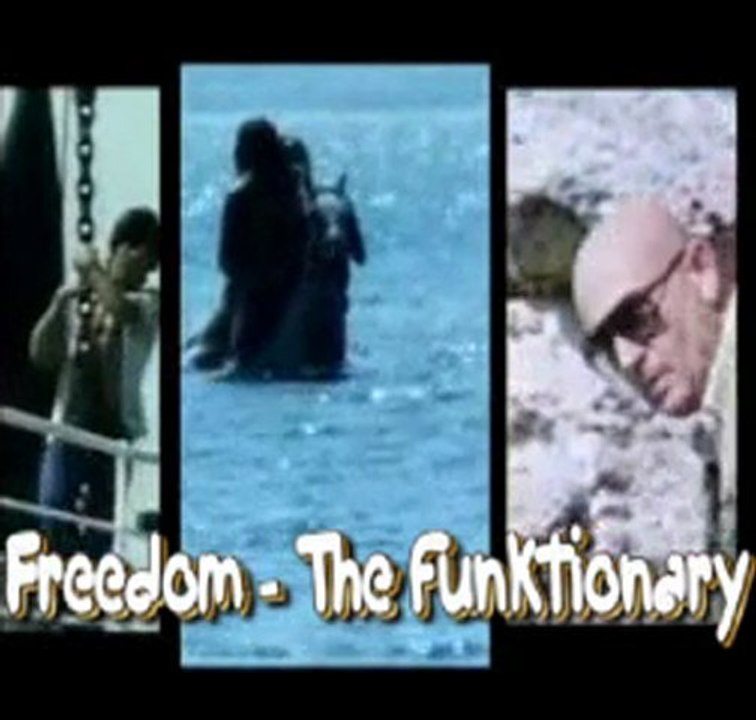 Freedom - The funktionary