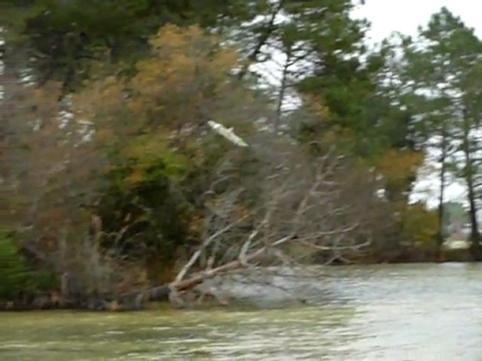 hydro depron rc perso