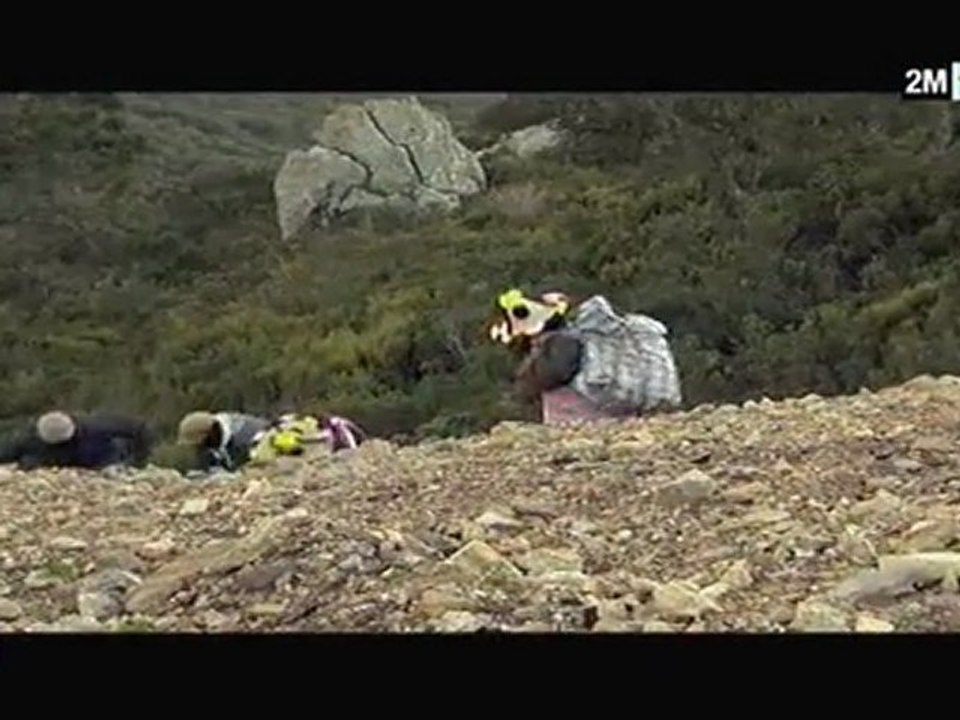 أخطر المجرمين: عصابة الرصاص