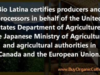 Panama Wholesale Organic Coffee