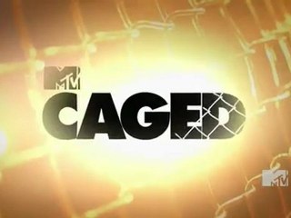 C4G3D 1.1