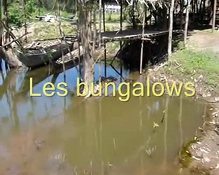 collines bungalow