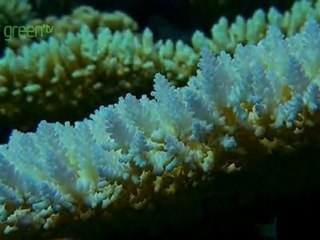 Drop into the Ocean - Part 2