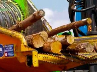 Investing in wood fuel