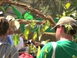 Saving the Rainforests with Greenpeace at Glastonbury