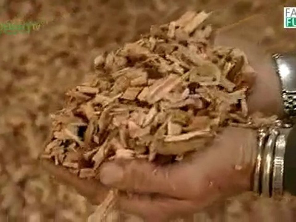 Renewable energy - Wind and Biomass