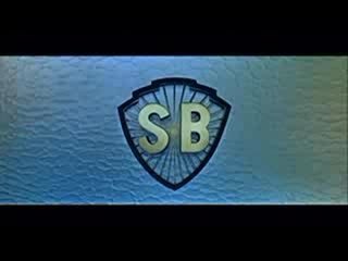 The 36th Chamber Of Shaolin