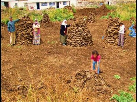 AZER BÜLBÜL @ süper müzik müzikler @ MEHMET ALİ ARSLAN Grup