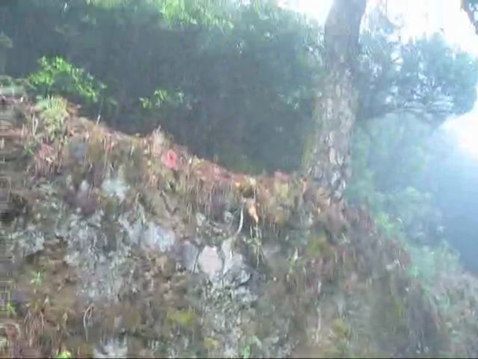 Lluvia horizontal