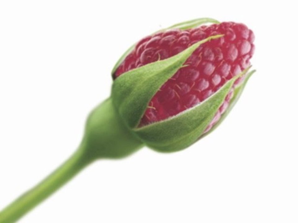 agence de communication Naturine 2012