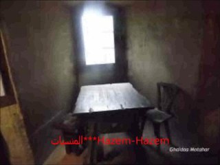 HZM   راني موضام