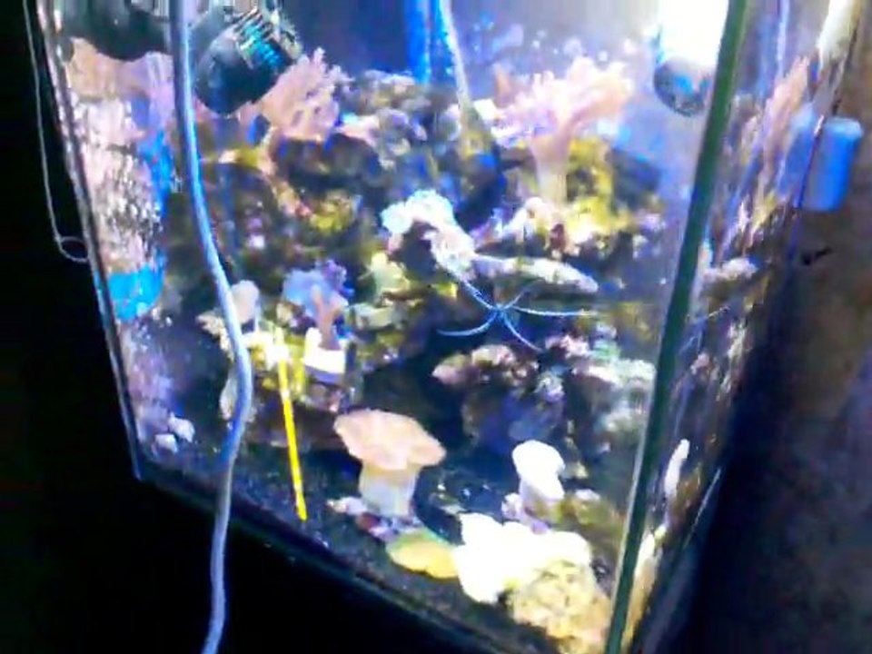 2012-01-07_17-50-24_903