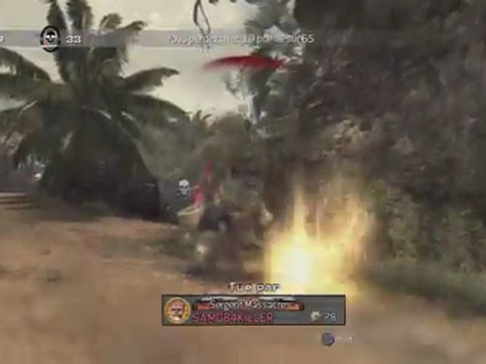 MW3 ACOG L118A