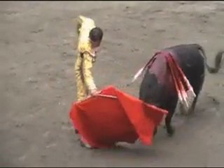 Manizales Vargas Mora y Mendoza