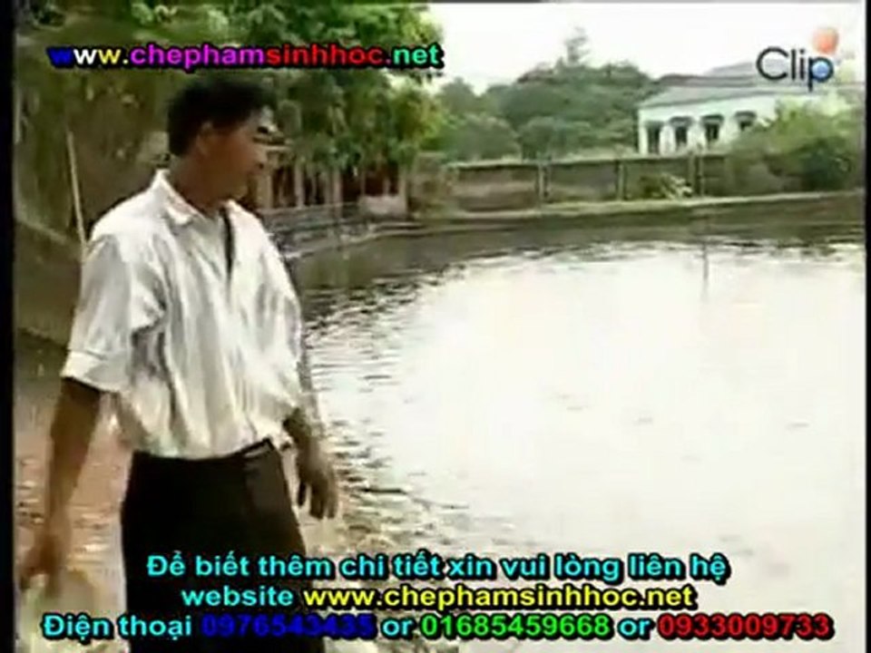 Tác dụng chế phẩm men vi sinh NN1 làm thịt vật nuôi ngon, chắc, lớn nhanh giảm chi phí chăn nuôi